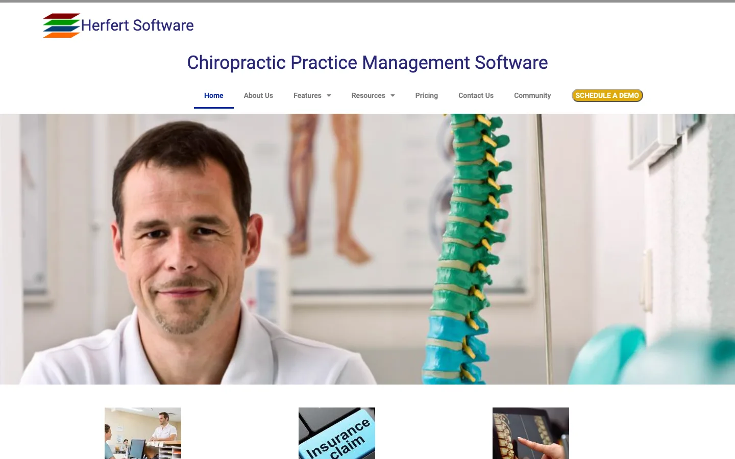 The previous WordPress home page: the four-color Herfert Software logo, the heading “Chiropractic Practice Management Software”, a menu with a yellow Schedule a Demo button, and a stock photo of a chiropractor beside a spine model.